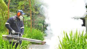 Best Fumigation Services  in Andalusia, IL